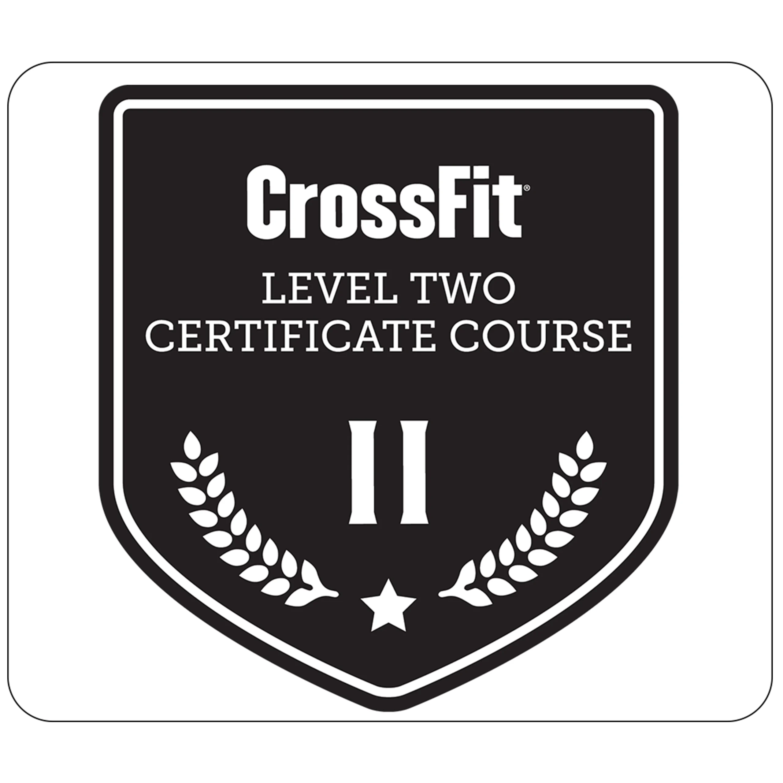 CrossFit level two certification